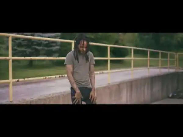 Video: Valee - Allat